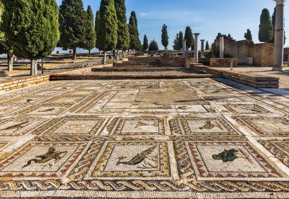 The Magic of Paphos Mosaics