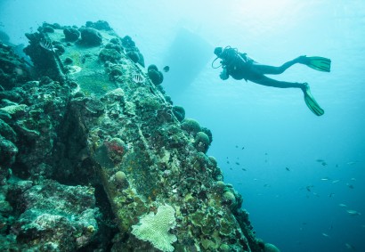 Scuba Diving at Zenobia Wreck