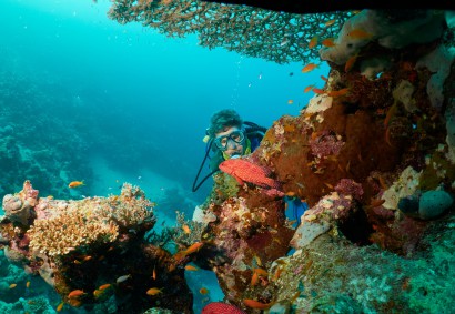 Scuba Diving at Zenobia Wreck