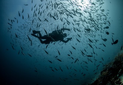 Scuba Diving at Zenobia Wreck