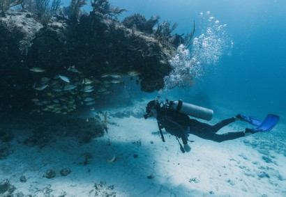 Scuba Diving at Zenobia Wreck