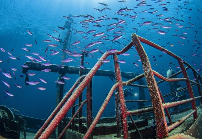 Scuba Diving at Zenobia Wreck