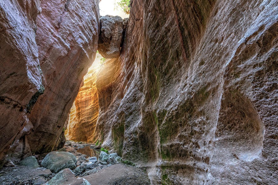 Avakas Gorge Trail